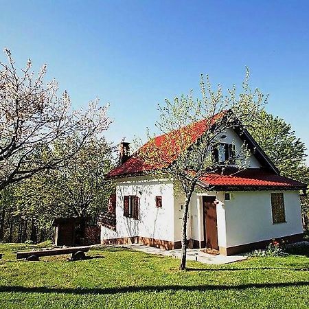 Holiday Home Coprnicka Hisa Skrad Buitenkant foto