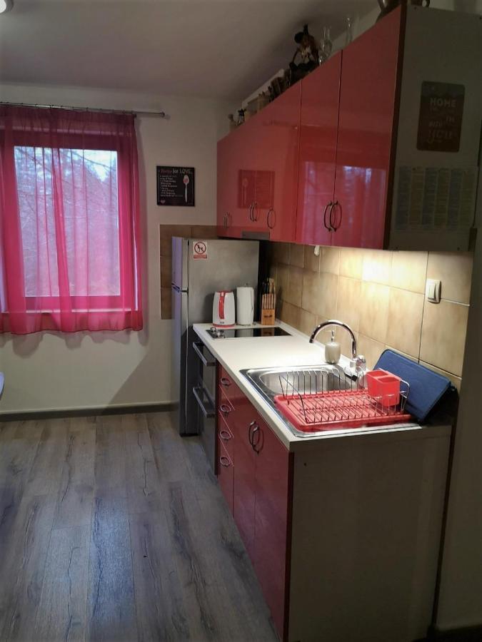 Holiday Home Coprnicka Hisa Skrad Buitenkant foto