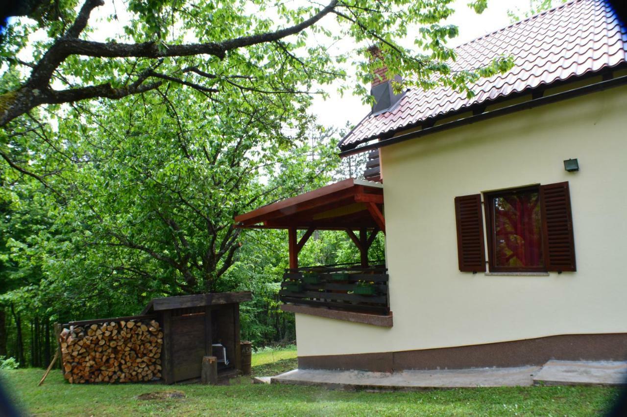 Holiday Home Coprnicka Hisa Skrad Buitenkant foto