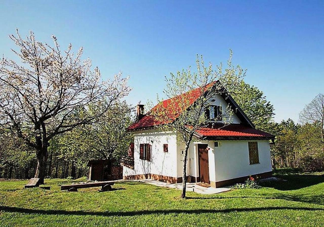 Holiday Home Coprnicka Hisa Skrad Buitenkant foto