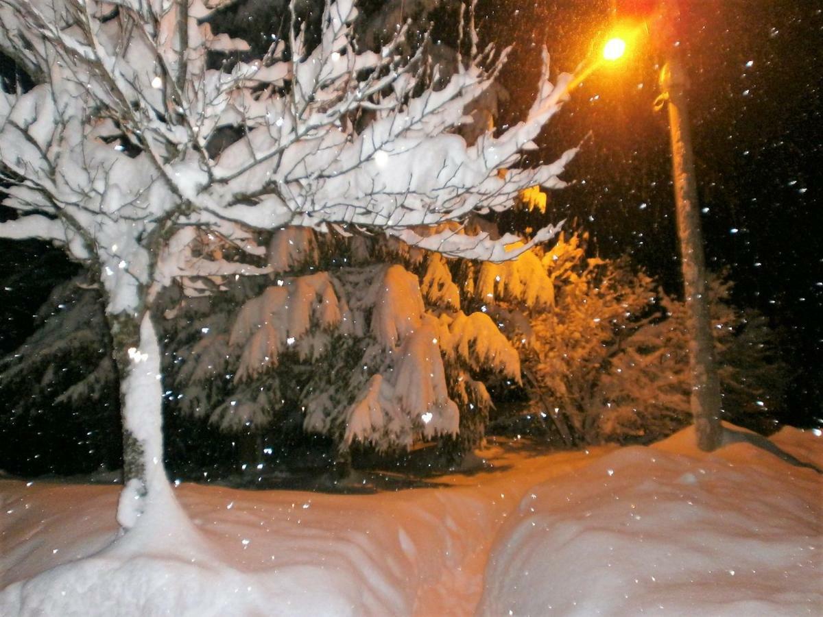 Holiday Home Coprnicka Hisa Skrad Buitenkant foto