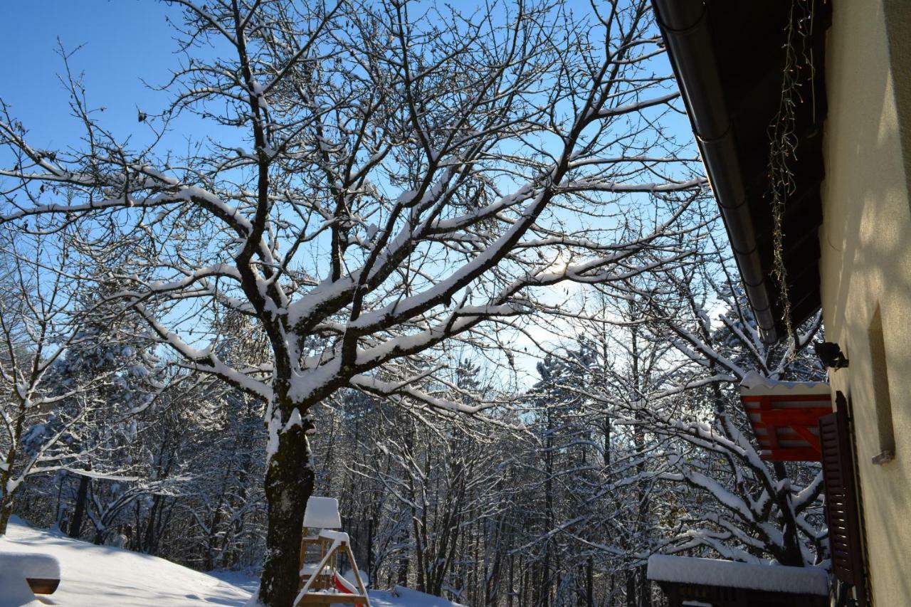 Holiday Home Coprnicka Hisa Skrad Buitenkant foto