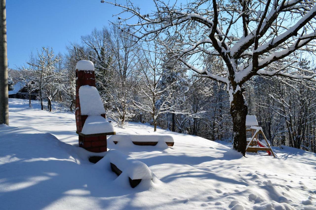 Holiday Home Coprnicka Hisa Skrad Buitenkant foto